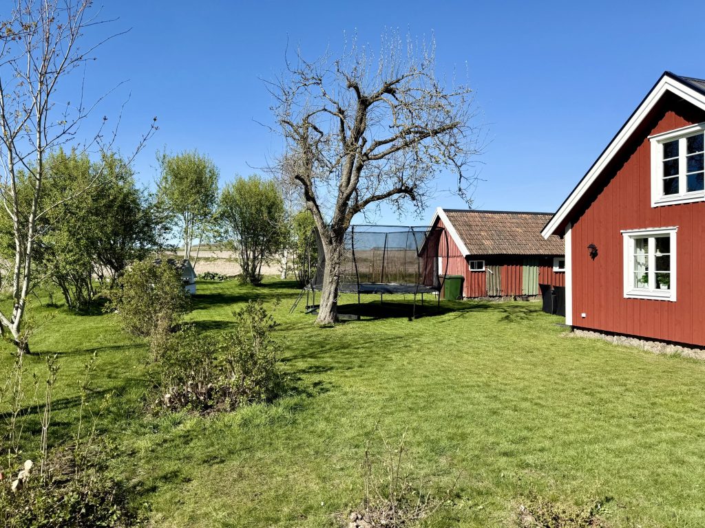 Den stora trädgården